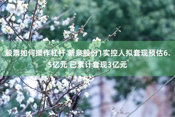 股票如何操作杠杆 新泉股份1实控人拟套现预估6.5亿元 已累计套现3亿元