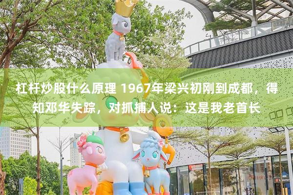 杠杆炒股什么原理 1967年梁兴初刚到成都，得知邓华失踪，对抓捕人说：这是我老首长