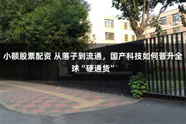 小额股票配资 从落子到流通，国产科技如何晋升全球“硬通货”